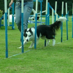 Baloe_2007_07_07_133904