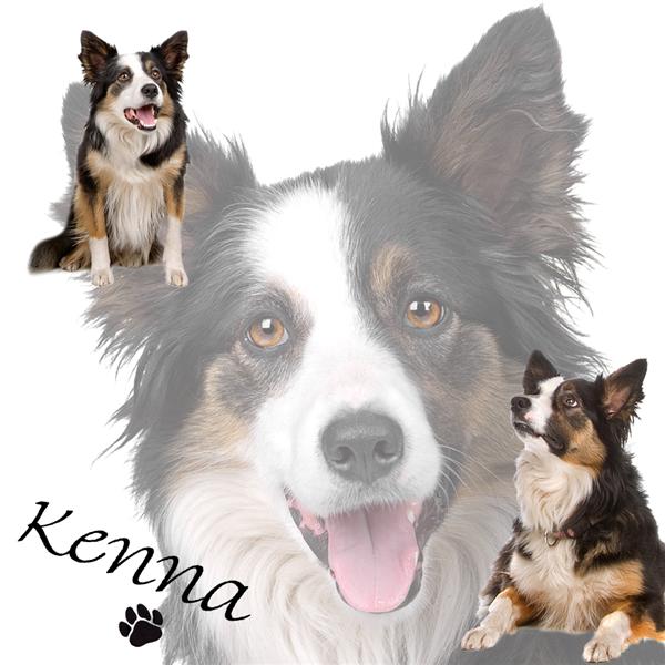 kenna1kopie-medium