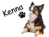 kenna-medium