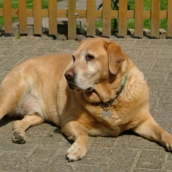 Sammy_2004_07_18_152658