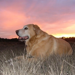 Sammy_2005_09_24_113050