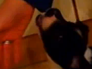 au3Tube - Spicy Puppy Ness