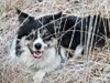 website_2-df30f7a8-901129-800-kopie_na_0