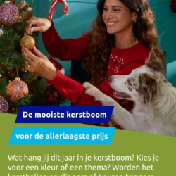 20231011_214845-Klein