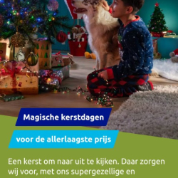 20231011_214954-Klein
