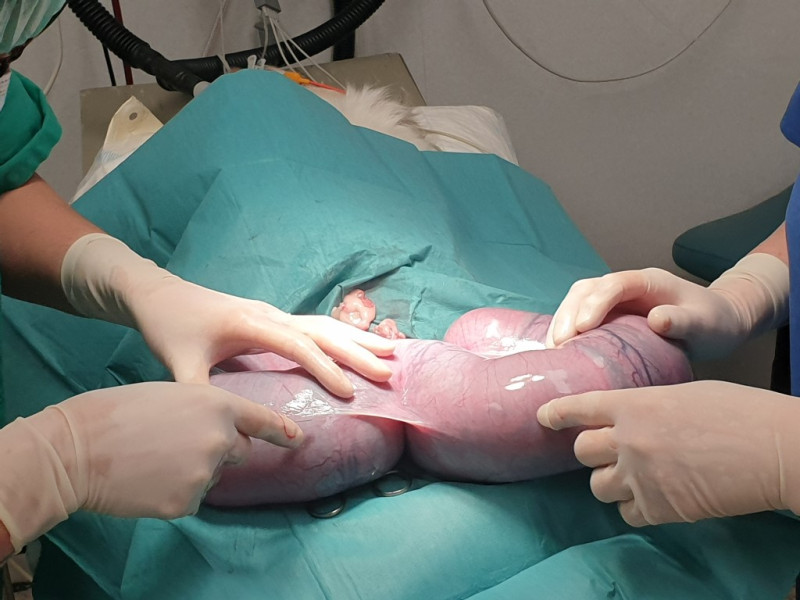 20221222_173223-Medium