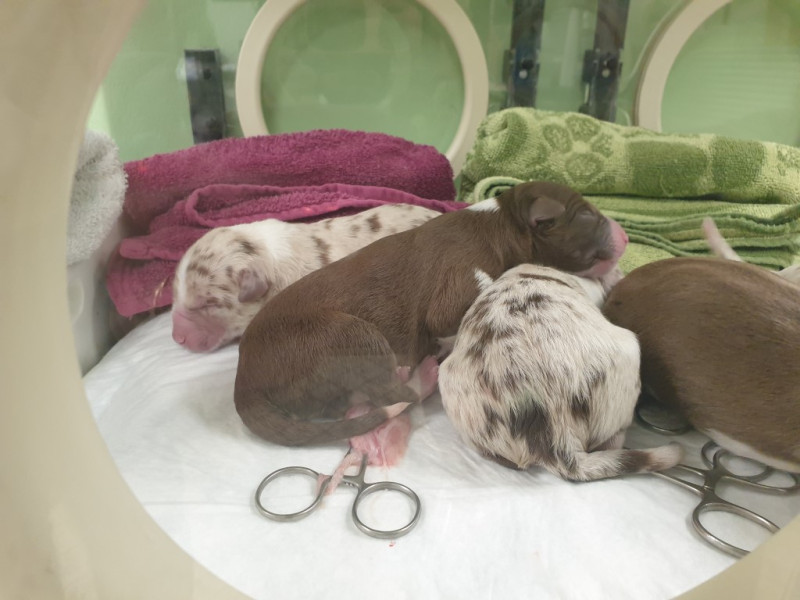 20221222_175336-Medium