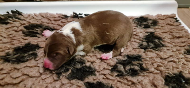 WhatsApp-Image-2022-12-22-at-21.16.29