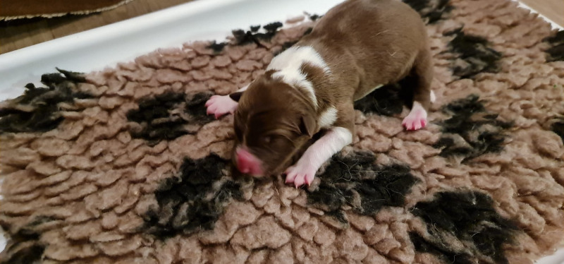 WhatsApp-Image-2022-12-22-at-21.16.30