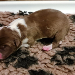 WhatsApp-Image-2022-12-22-at-21.16.29 WhatsApp-Image-2022-12-22-at-21.16.29