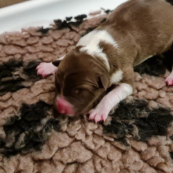 WhatsApp-Image-2022-12-22-at-21.16.30 WhatsApp-Image-2022-12-22-at-21.16.30