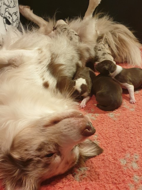 20221222_225122-Small