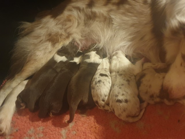 20221223_180854-Small