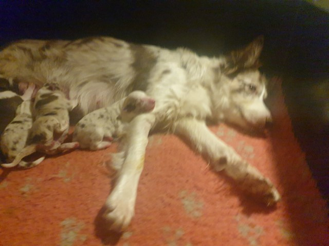 20221223_182528-Small