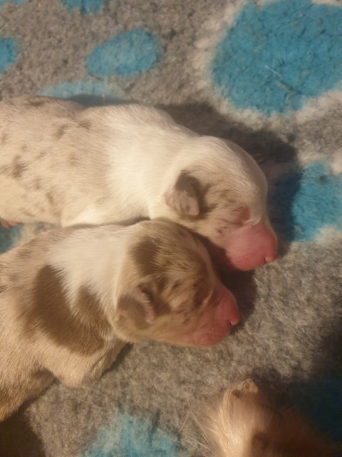 20221224_103522-Small