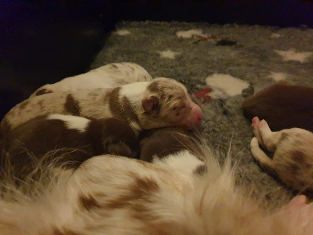 20221226_224250-Small