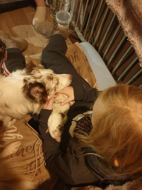 20221227_212723-Small