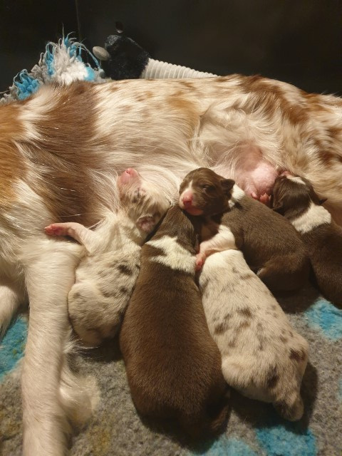 20221229_192409-Small