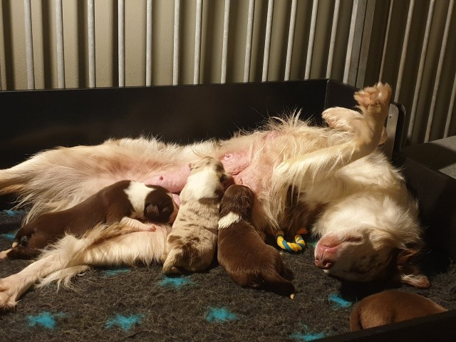 20221231_213530-Small