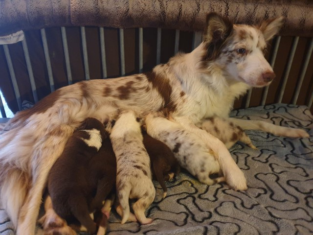 20230101_100145-Small