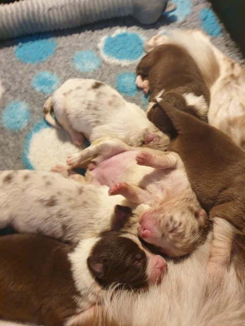 20230101_133052-Small