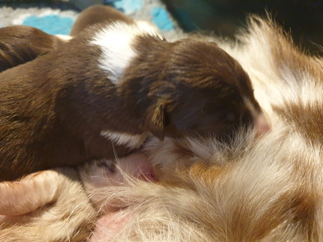 20230101_133448-Small