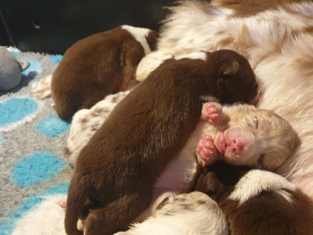 20230101_133525-Small