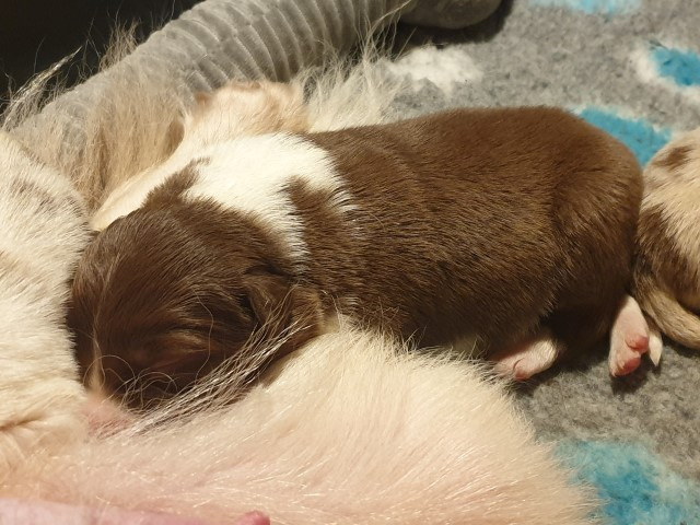 20230101_183928-Small