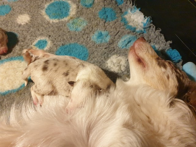 20230101_183942-Small