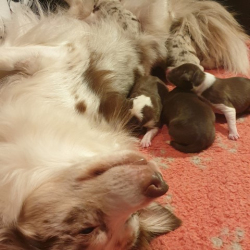 20221222_225122-Small 20221222_225122-Small