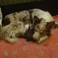 20221223_021303-Small 20221223_021303-Small