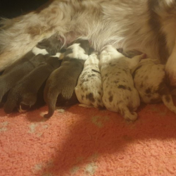 20221223_180848-Small 20221223_180848-Small