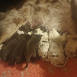 20221223_180854-Small 20221223_180854-Small