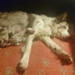 20221223_182528-Small 20221223_182528-Small