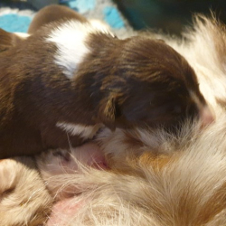 20230101_133448-Small 20230101_133448-Small