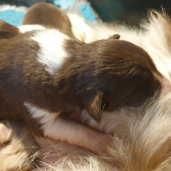 20230101_133449-Small 20230101_133449-Small