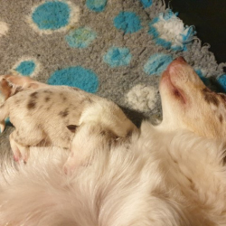 20230101_183942-Small 20230101_183942-Small