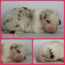 PhotoCollage_1672328036597-Small PhotoCollage_1672328036597-Small