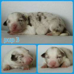 PhotoCollage_1672328165930-Small PhotoCollage_1672328165930-Small