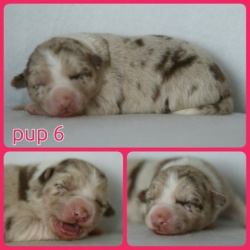 PhotoCollage_1672331670549-Small PhotoCollage_1672331670549-Small