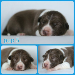 PhotoCollage_1672332015741-Small PhotoCollage_1672332015741-Small