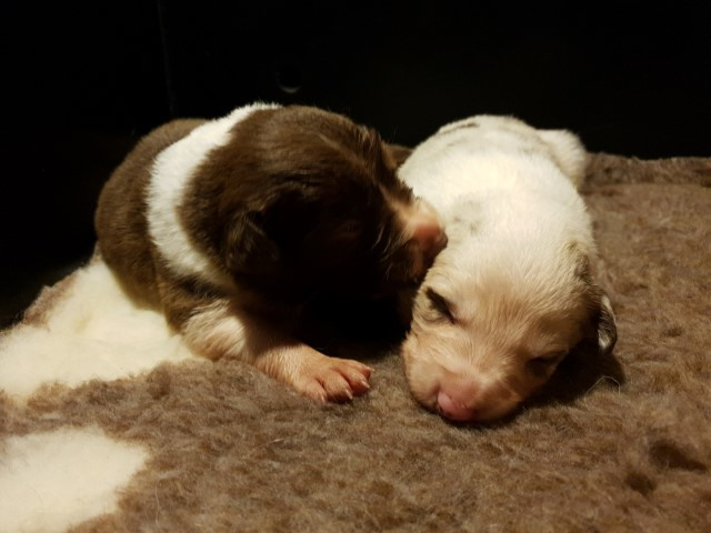 20230106_192243-Small