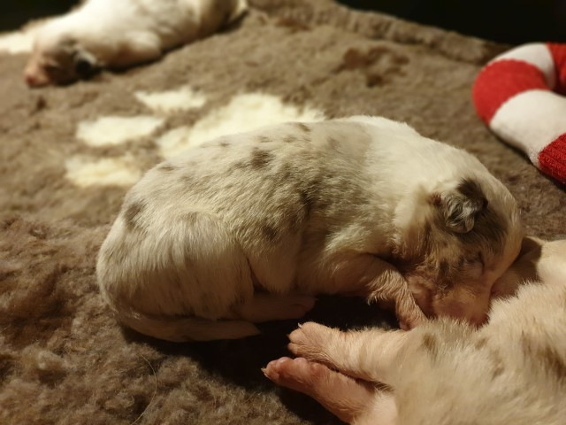 20230106_192742-Small