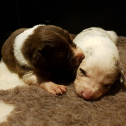 20230106_192243-Small 20230106_192243-Small