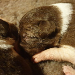 20230106_192618-Small 20230106_192618-Small