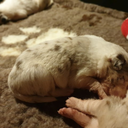 20230106_192742-Small 20230106_192742-Small