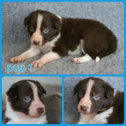 PhotoCollage_1674138720688-Small PhotoCollage_1674138720688-Small