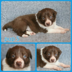 PhotoCollage_1674140979528-Small PhotoCollage_1674140979528-Small