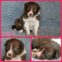 PhotoCollage_1674141383437-Small PhotoCollage_1674141383437-Small