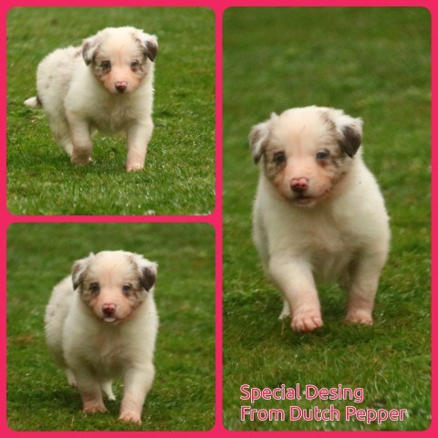 PhotoCollage_1674734905587-Small